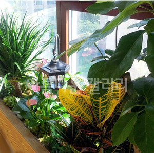 [아름다운갤러리]한강 자이아파트 거실 플랜트박스 정원